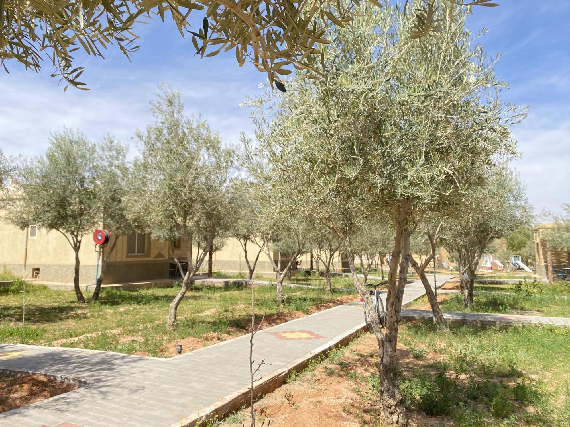 IGHIZ Inn Errachidia Bagian luar foto